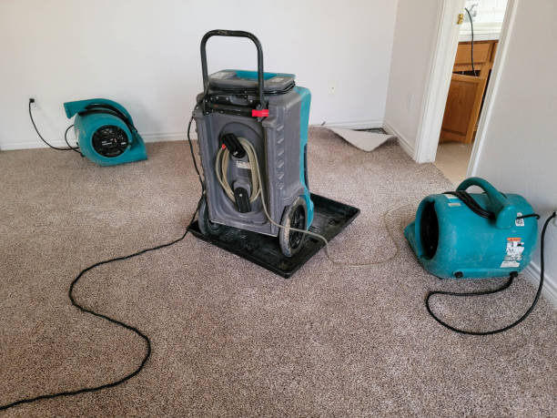 Cicero, IL Water damage restoration Company