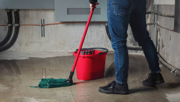 Best Sewage cleanup and water damage restoration  in Cicero, IL