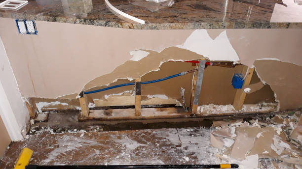 Best Carpet water damage restoration  in Cicero, IL