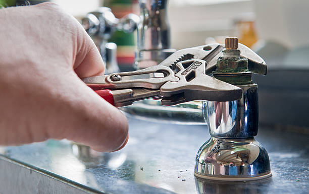 Best Flood damage cleanup  in Cicero, IL