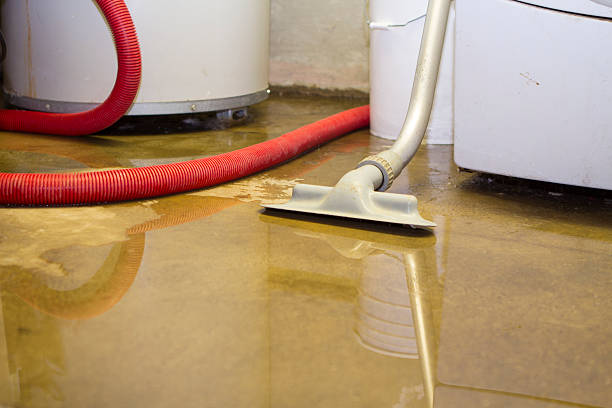 Best Water damage restoration services  in Cicero, IL