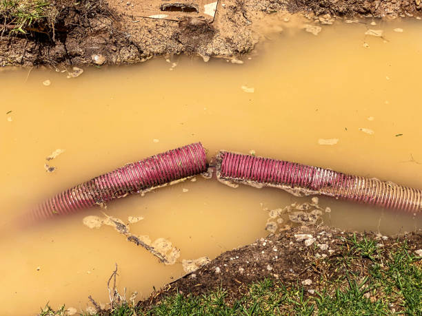  Cicero, IL Water damage restoration Pros