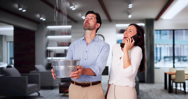 Best Flooded house restoration  in Cicero, IL