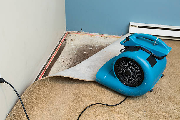 Best Water damage restoration near me  in Cicero, IL